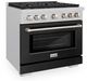 ZLINE 36" Satin Stainless Steel Pro Style Gas Range with Black Matte Door-3