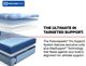 Sealy® Posturepedic® Pro Crenshaw II Hybrid 13" Firm Tight Top Twin Mattress-5
