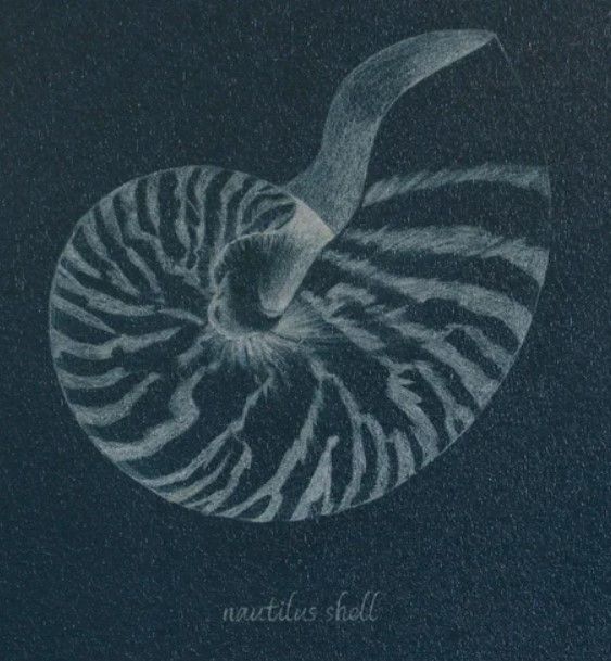 Stylecraft Black/White Wall Art-1