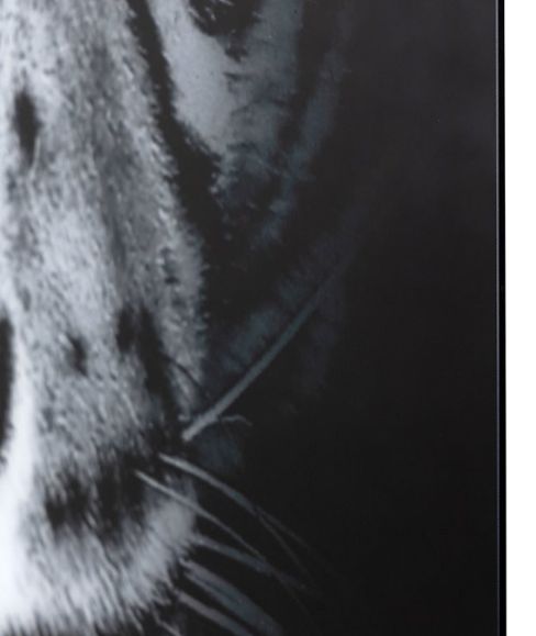 YHD Tigris I Wall Art-3