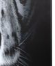 YHD Tigris I Wall Art-3