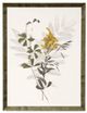 StyleCraft Wild Foliage Brown/Dark Gray/Light Gray Natural Wall Art-0