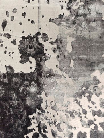 Surya Aberdine Gray 5'x8' Area Rug-3