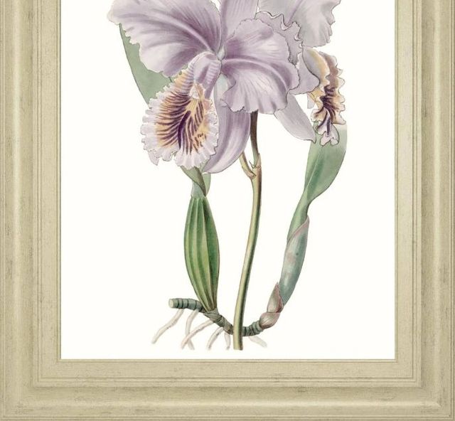 Classy Art Lavender Beauties II by Edwards Wall Art-1