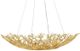 Currey & Company Aviva Stanoff Sea Fan Gold Gilt Bowl Chandelier-1