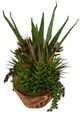 Uttermost® Salar Natural Succulents-3