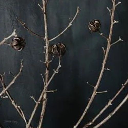 Classy Art Branches in Noir I by Jennifer Rigsby Wall Art-1