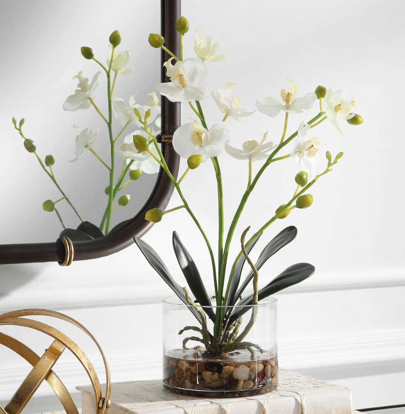 Uttermost Glory Orchid - Thumbnail 2