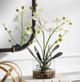 Uttermost® Glory White Orchid-1