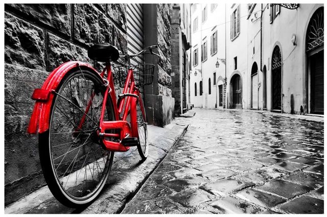 YHD The Red Bike Wall Art-0