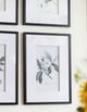 A & B Home 4-Piece Black/White Pencil Art Flower Print Set-5