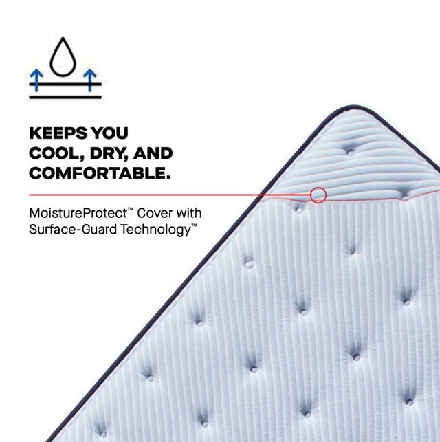Sealy® Posturepedic® Plus Northbrook 15" Wrapped Coil Soft Euro Pillow Top California King Mattress-4