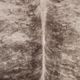 Surya Rusak Gray/Camel 5'x7' Area Rug-1