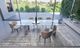 VIG Furniture Modrest Viking Stainless Steel Glass Dining Table-2