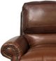 USA Premium Leather Furniture 9055 Alligator/Brandy Chair-2