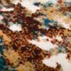 Dalyn™ Rug Company Karma Multi 5'x7' Rug-3