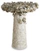 Currey & Company Oyster Shell Natural 32" Bird Bath-0
