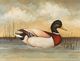 Stylecraft Mallard Wall Art-2