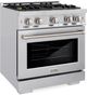 ZLINE Select 30" Stainless Steel Pro Style Dual Fuel Range-2