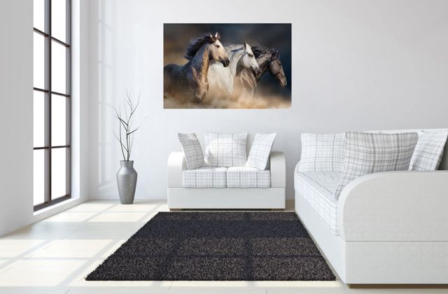 Classy Living Wild Stallion Trio Wall Art-1