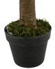 A & B Home Green 6' Fiddle-Leaf Fig Tree in Pot-2