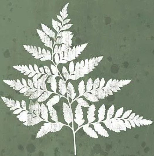 Classy Art Fern Botanical I by House Fenway Wall Art-1