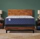 Sealy® Golden Spirit 14.5" Gel Memory Foam Medium Tight Top Queen Mattress-1