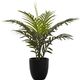 Monarch Specialties Inc. Green/Black 20" Artificial Potted Palm-0