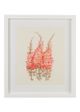 Chelsea House Bradshaw Orrell White Flower Study IV-0
