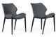 VIG Furniture Modrest Instone 2-Piece Dark Gray Dining Chair Set-0