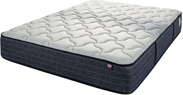Therapedic® BackSense™ Remington 13" Innerspring Plush Tight Top Twin XL Mattress-0