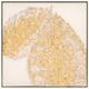 Classy Living Timeless Textured Luxe Gold Leaf Delight Wall Art-0