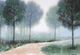 Stylecraft Norman Wyatt Morning Fog Wall Art-1