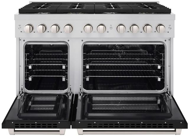 ZLINE Paramount 48" Stainless Steel Pro Style Dual Fuel Range with Black Matte Door-1