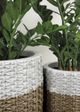 Le Present White and Greige 19" Basket Planter-3
