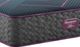 Beautyrest® World Class Hybrid™ Level Three 13" Plush Smooth Top Twin XL Mattress-1