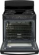 GE® 30" ENERGY STAR® Black Freestanding Electric Range-1