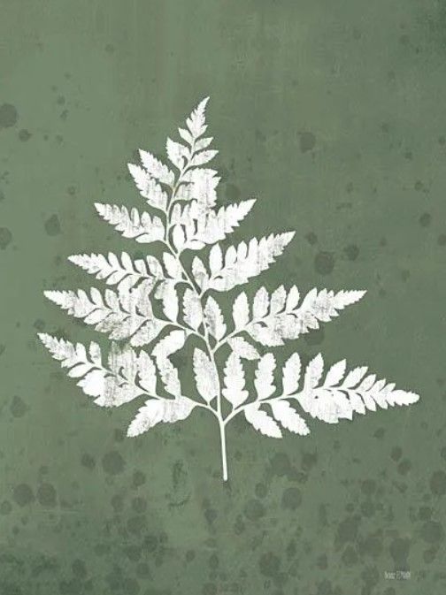Classy Art Fern Botanical I by House Fenway Wall Art-0