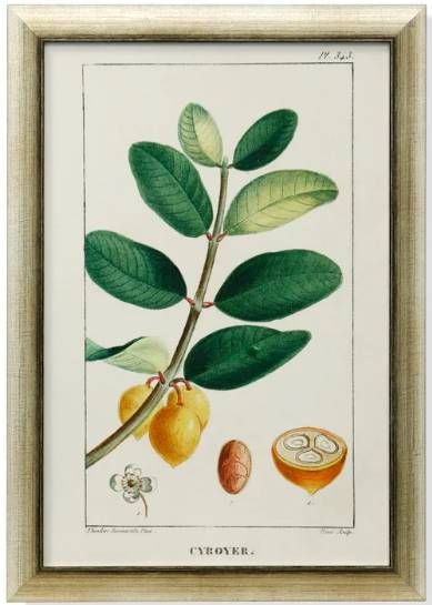 Stylecraft Green/Light Green/Off-White/Yellow Wall Art-0