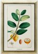 Stylecraft Green/Light Green/Off-White/Yellow Wall Art-0