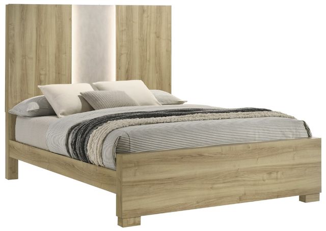 Crown Mark Rangley Driftwood Queen Panel Bed-0