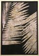 Stylecraft Neutral Palms On Black l Wall Art-0