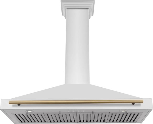 ZLINE 48" Autograph Edition Stainless Steel Wall Mounted Range Hood-3