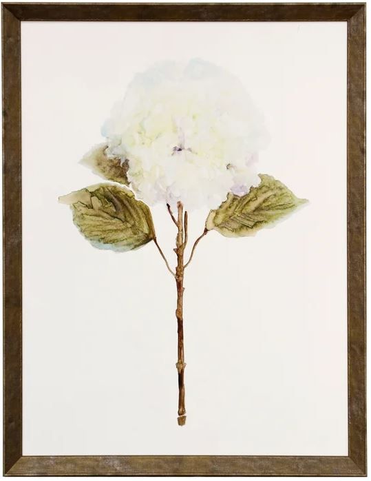 Stylecraft Light Green/White Framed Print-0