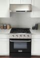 Kucht Professional KNG Series 30" Stainless Steel Pro Style Natural Gas Range with Black Door-4