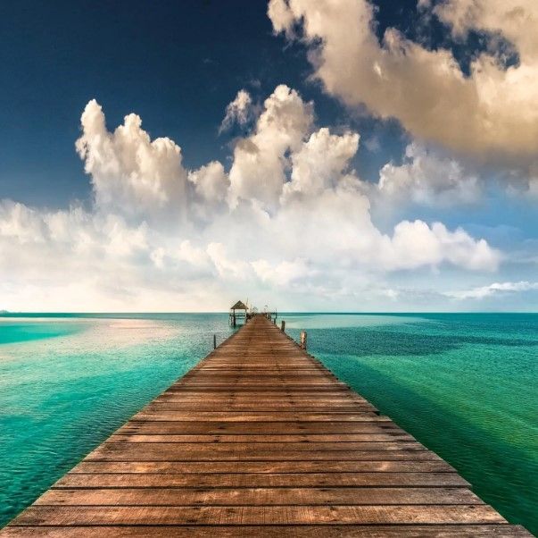Classy Art Tropic Blues by Mike Calascibetta Wall Art-0