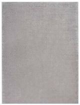 Silver/Gray