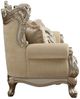 ACME Furniture Ranita Champagne Loveseat-4