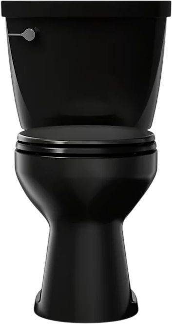 KOHLER® Cimarron® Black 2-Piece Round-Front Toilet, 1.6 Gpf-1