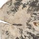 Uttermost® Bahati 9-Piece Light Bleached Wall Decor Set-4